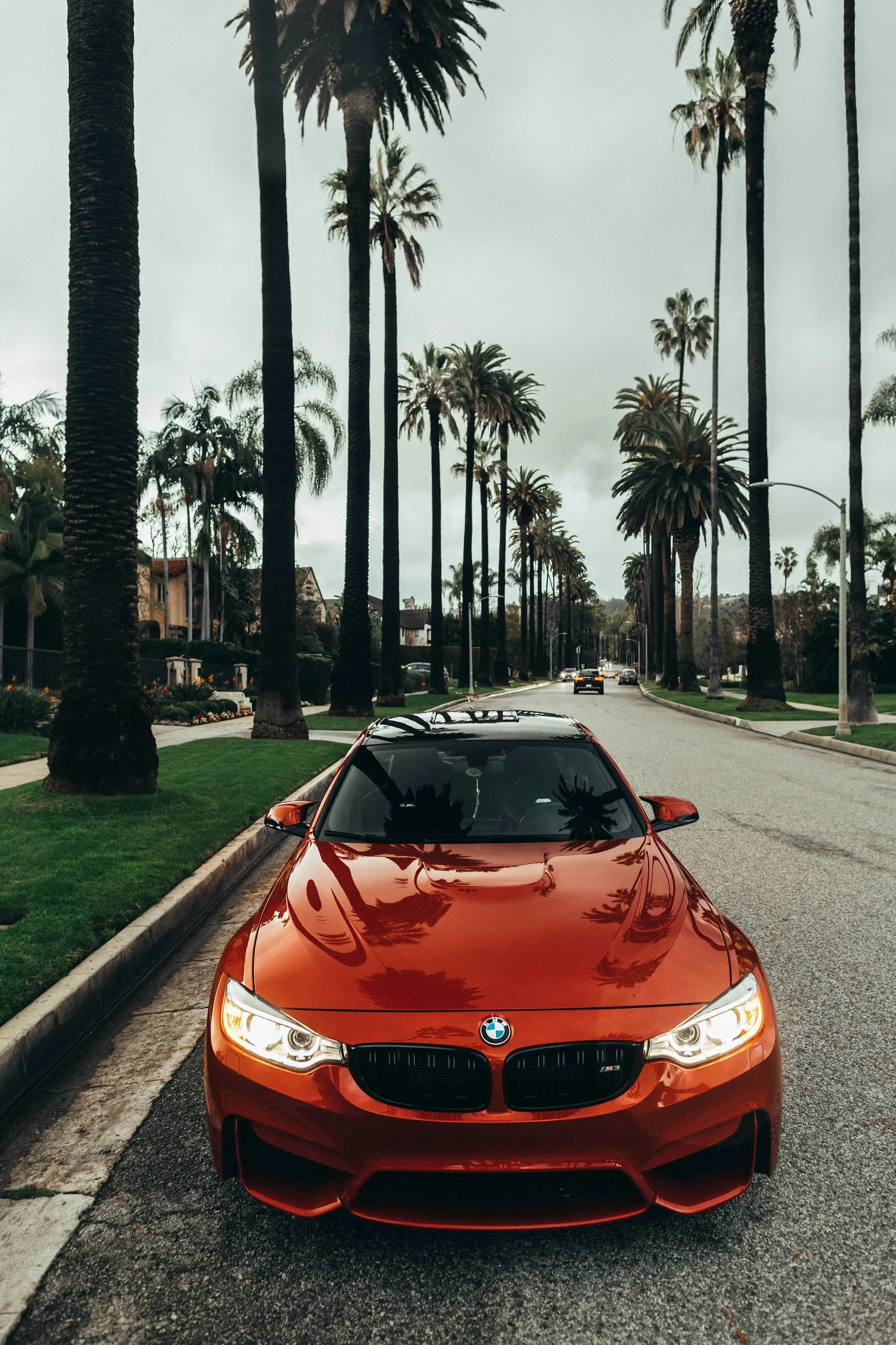 Premium ceramic coating finish on luxury vehicle